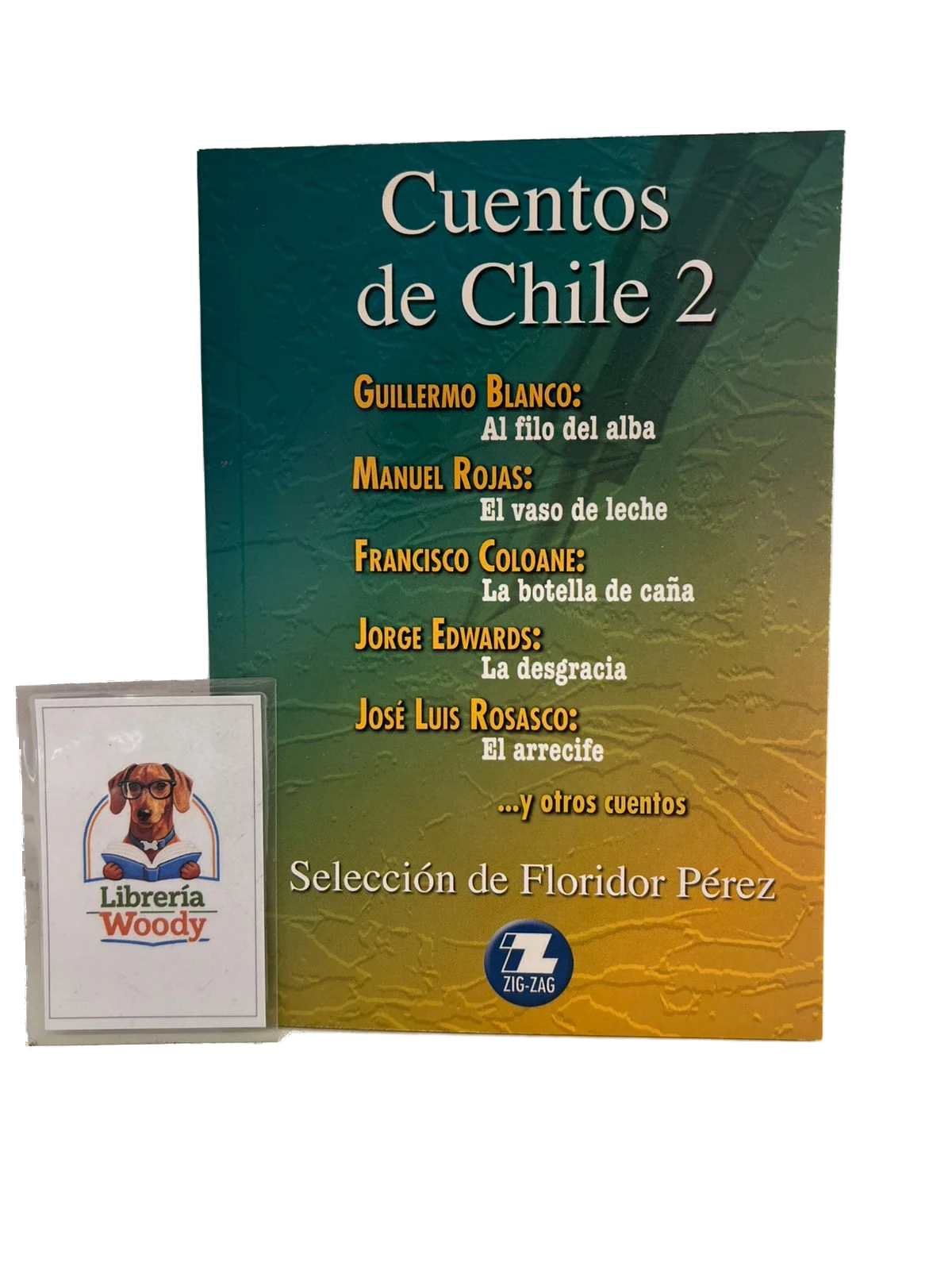 Cuentos de Chile 2