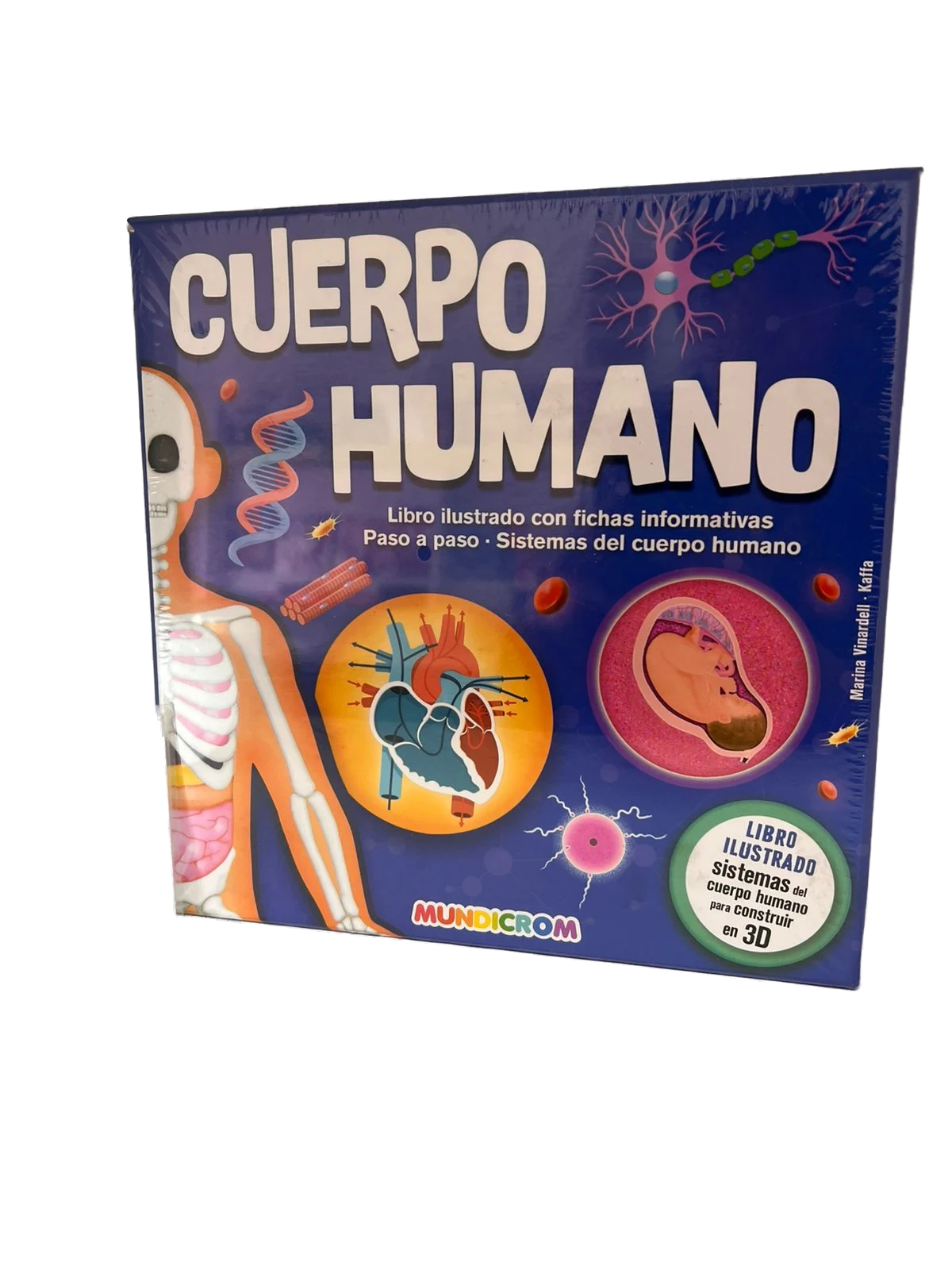 Cuerpo Humano